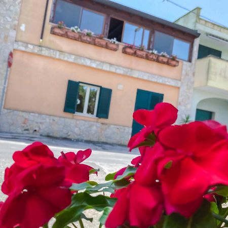Aparthotel Cortellenica Torre San Giovanni Ugento Εξωτερικό φωτογραφία